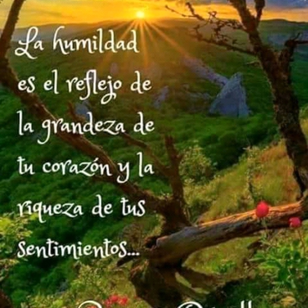 Meet your Posher, Martha